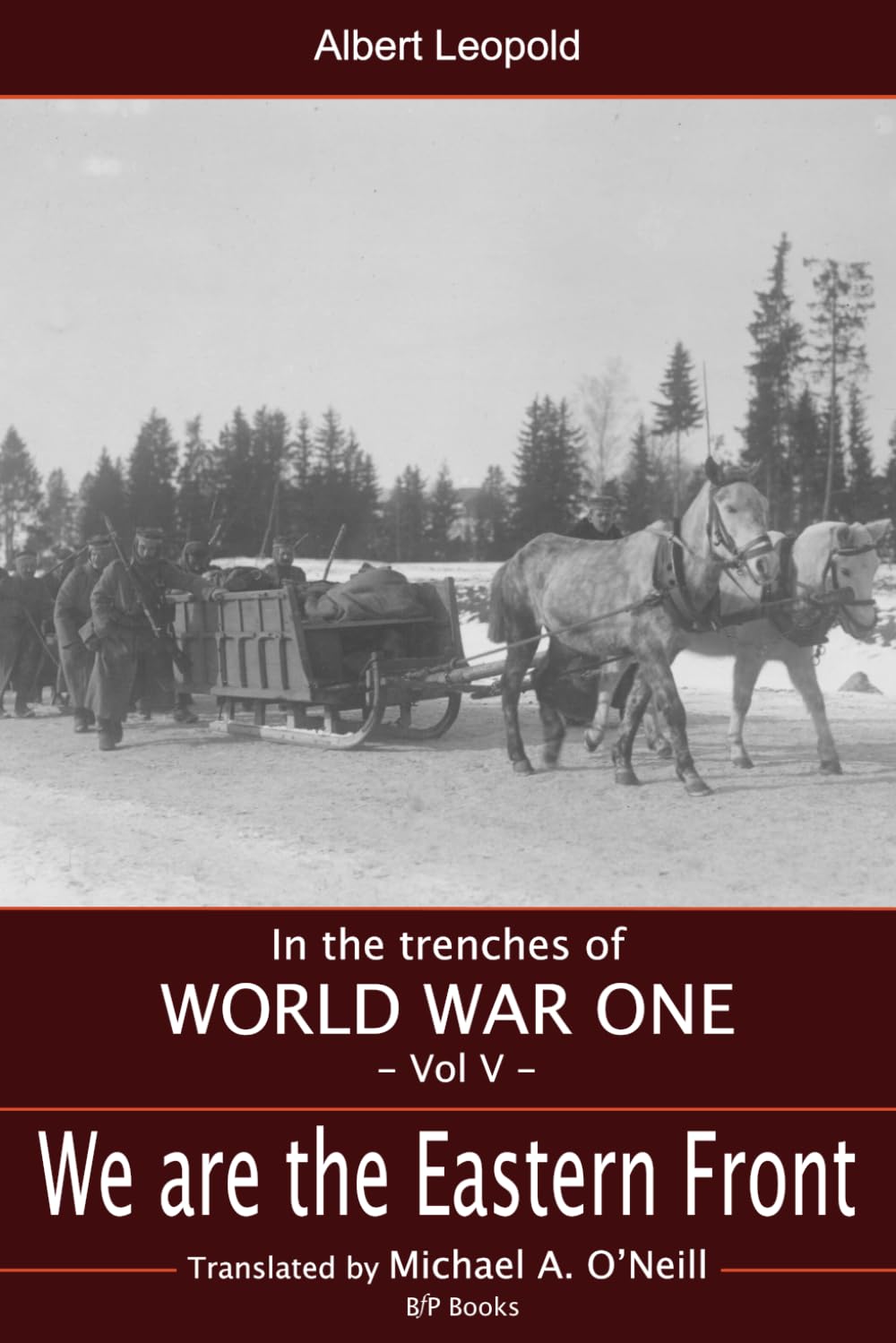 We are the Eastern front: A Swabian infantryman at the Battle of Osowiec (In the Trenches of WWI)