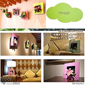 Amazon.co.jp: IEF-016PK (ピンクカラー) スタイリッシュ壁掛け