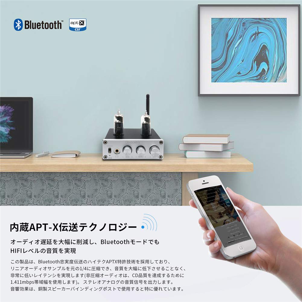 Diypoetry R50 真空管アンプ (USED) 51jRgl9gc+S._UF350,350_QL50_.jpg