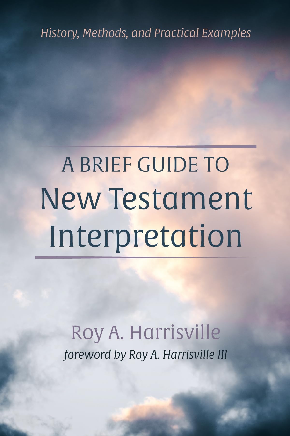 Buy A Brief Guide to New Testament Interpretation: History, Methods, and Practical Examples — BookShops.in