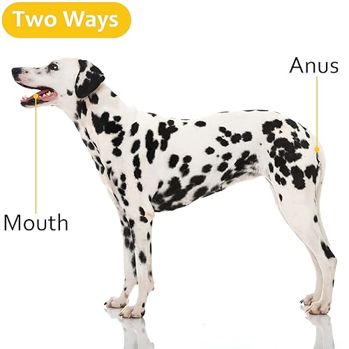 Miniatura 3 de Termómetro de detección de fiebre precisa para mascotas, monitor de temperatura animal, termómetro veterinario digital de lectura rápida para perro,