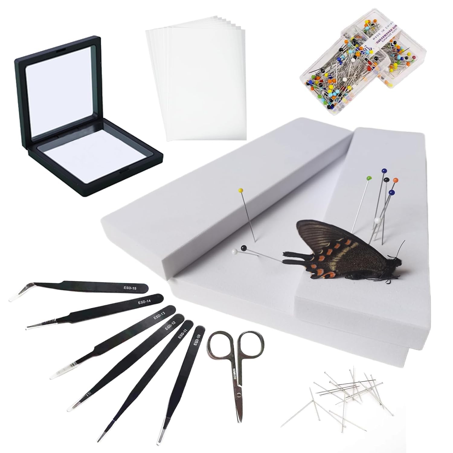 55 Pcs Insect Specimen Tools Kit Butterfly Insect Pinning Ki