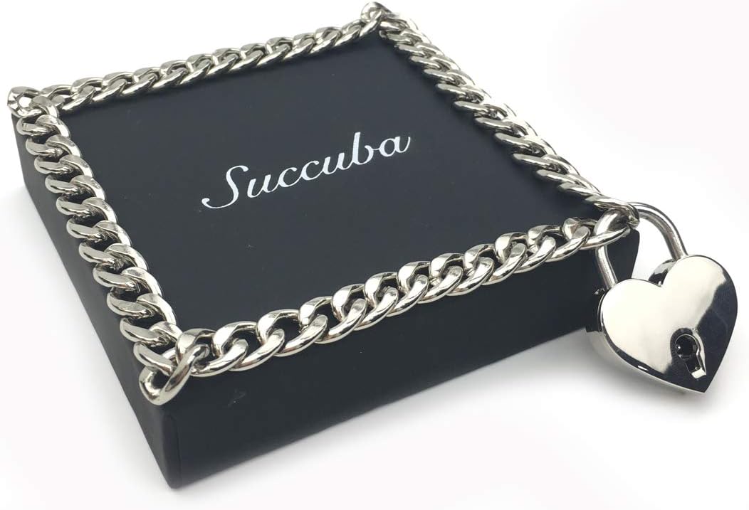 Succuba Padlock Necklace Chain Collar Choker with Two Keys and Box for Women, Men and Pet