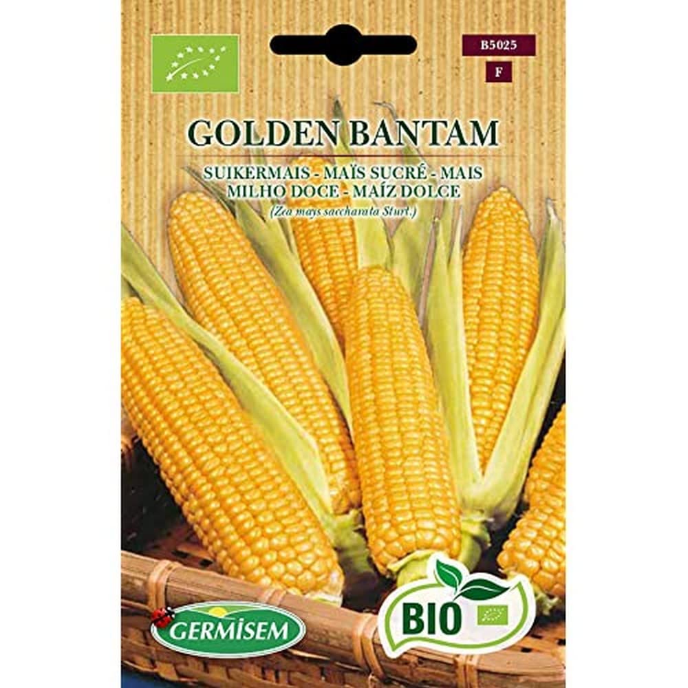 Germisem Golden Bantam Semi di Mais Dolce 10 g & Biologico Golden Bantam Semi di Mais Dolce 7 g