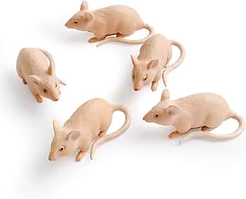 61XQsiJaGbL._AC_UF350,