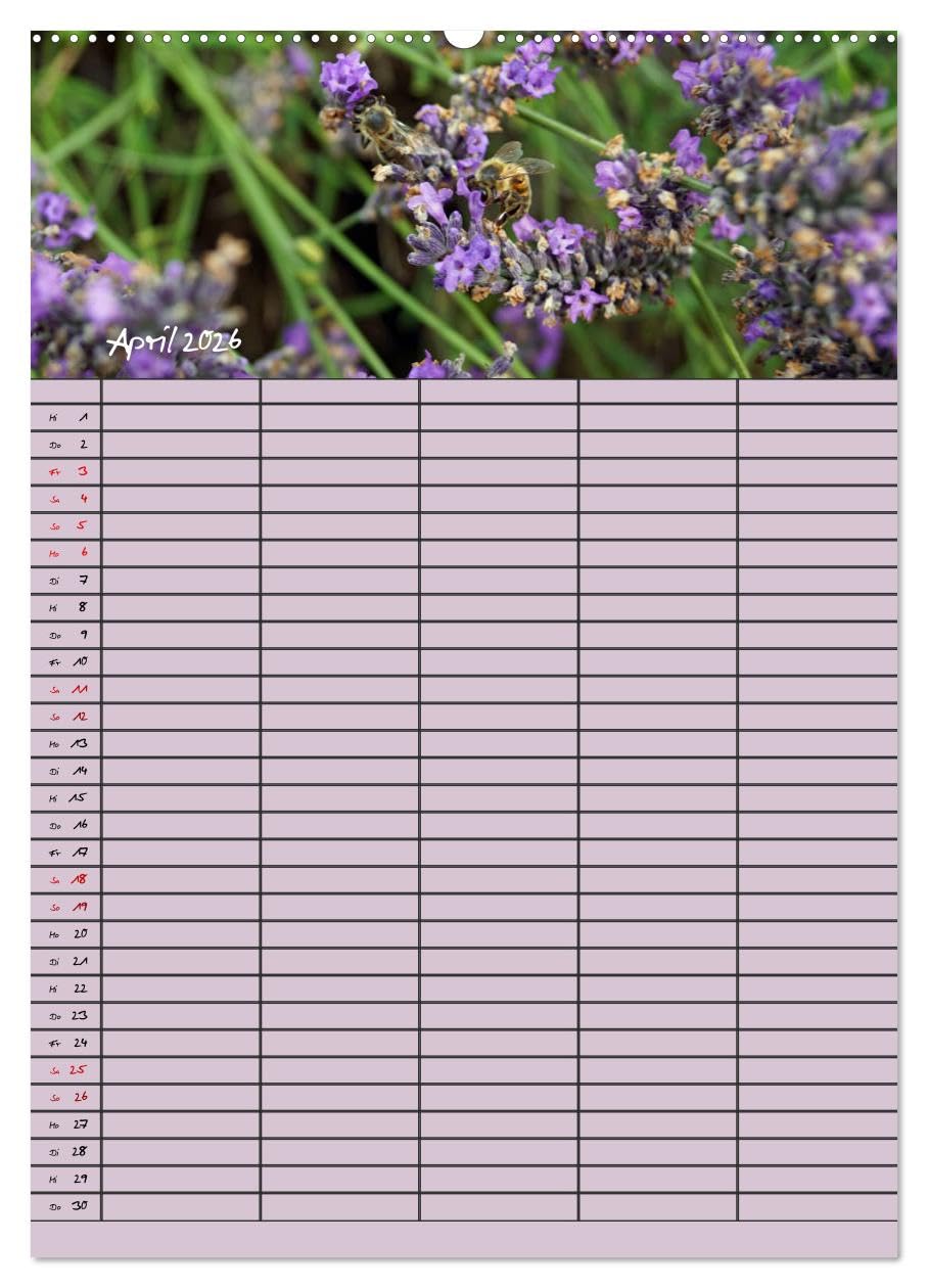 Naturzauber Lavendel - Familienplaner (hochwertiger Premium Wandkalender 2026 DIN A2 hoch), Kunstdruck in Hochglanz: Lavendel in England mit unterschiedlichen Farbnuancen. (CALVENDO Natur)