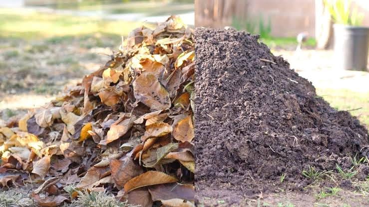 Mezcla de abono orgánico de jardín premium, mezcla de marrón, hojas y tierra, fertilizante natural para plantas y verduras al aire libre