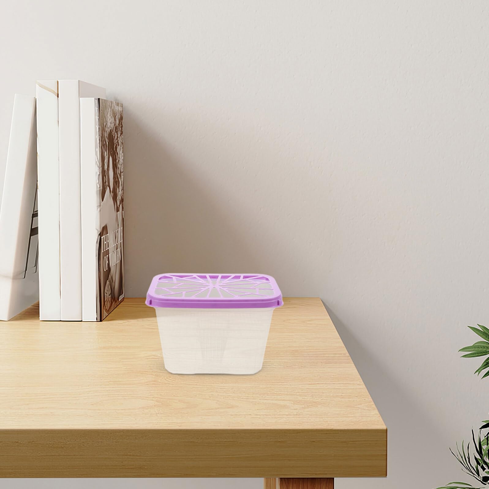NOLITOY Caja Deshumidificadora de Plástico Vacía 8 Piezas Contenedor Absorbente de Humedad Recargable Soporte Cuadrado Morado para Armarios y Almacenamiento Doméstico
