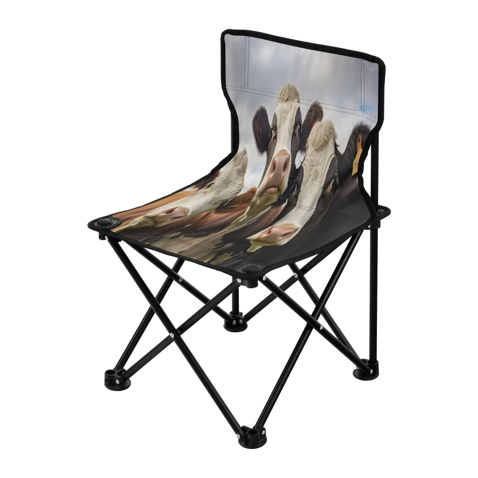 Amazon.com: Blueangle Funny Cow Camping Chair, Lightweight