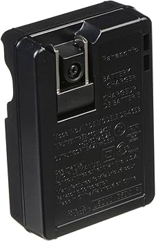 Amazon.com : Panasonic DE-A65BA Battery Charger for DMW-BCG10