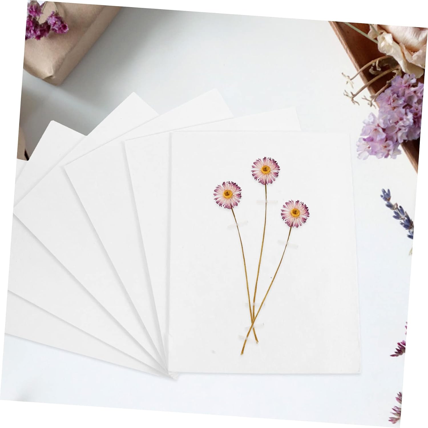 ELAYARD 6pcs Reusable Flower Press Board Paper for School Crafts