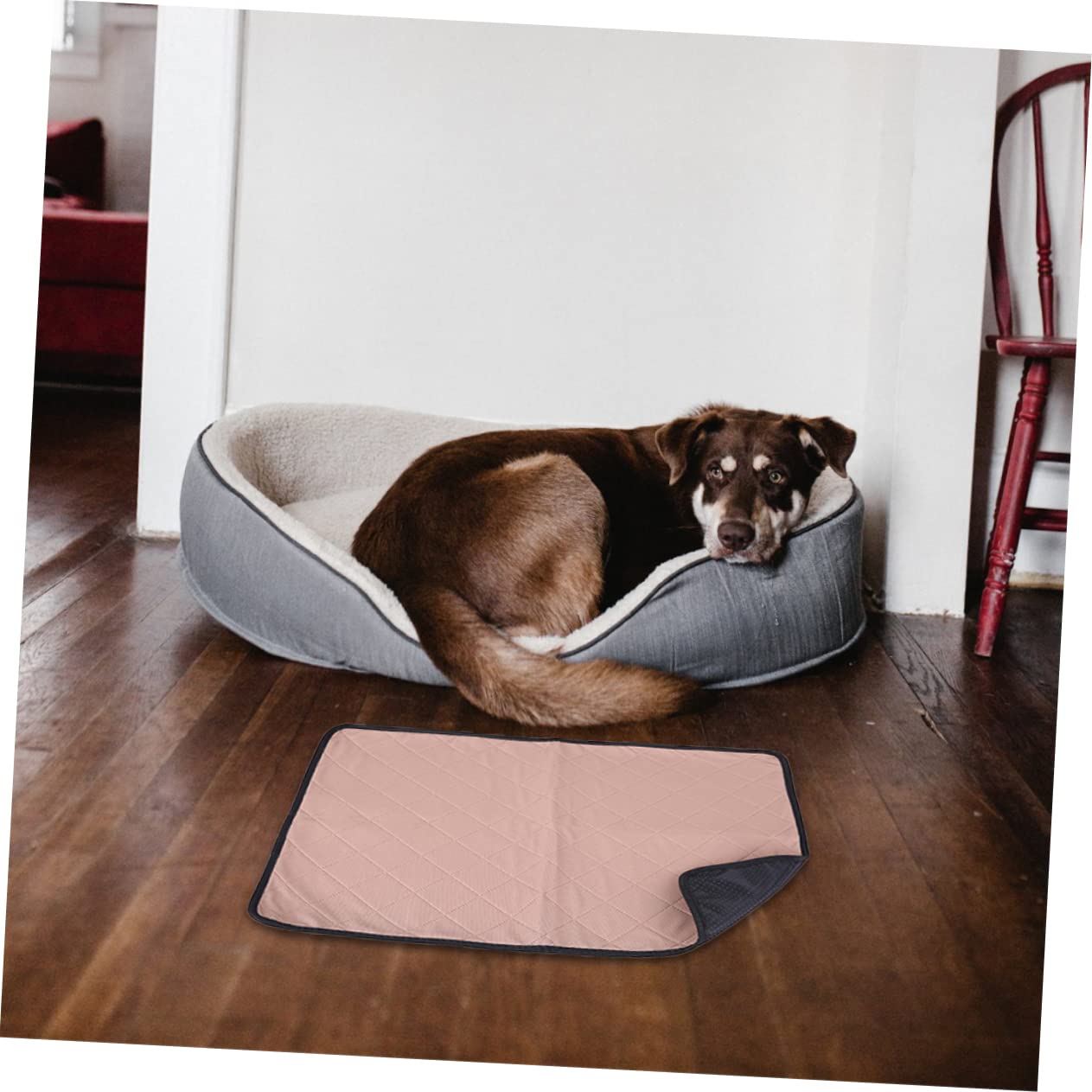 Toyvian Tappetini Cane Lavabili Riutilizzabili , Impermeabili e Assorbenti per Cani e Cuccioli, per Addestramento e Giardino