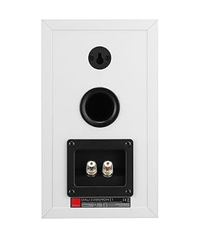DALI ダリ OBERON1 2WAYブックシェルフスピーカー Amazon.co.jp: DALI(ダリ) OBERON1 2WAYブックシェルフ