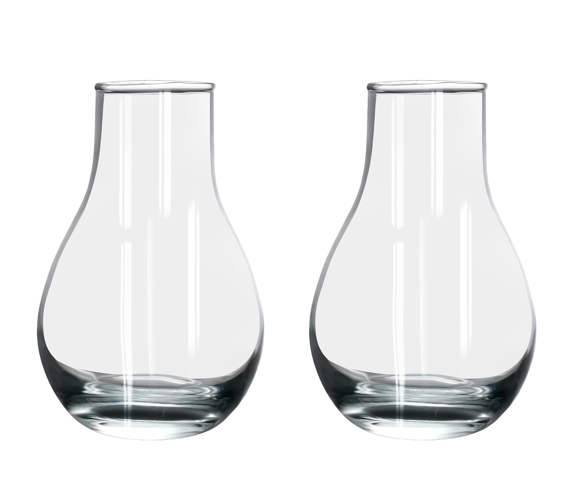 Urban Moon Glass Vase, Flower Vase, Vessel, Money Plant Pot, Glass Bottle for Milk, Coffee, Tea | Restaurants, Kitchen, Office, Table & Home Decoration & Gifts (Surahi Shape Pot) - Set of 2 Piece (B0D5RN6TJC) Amazon Price History, Amazon Price Tracker