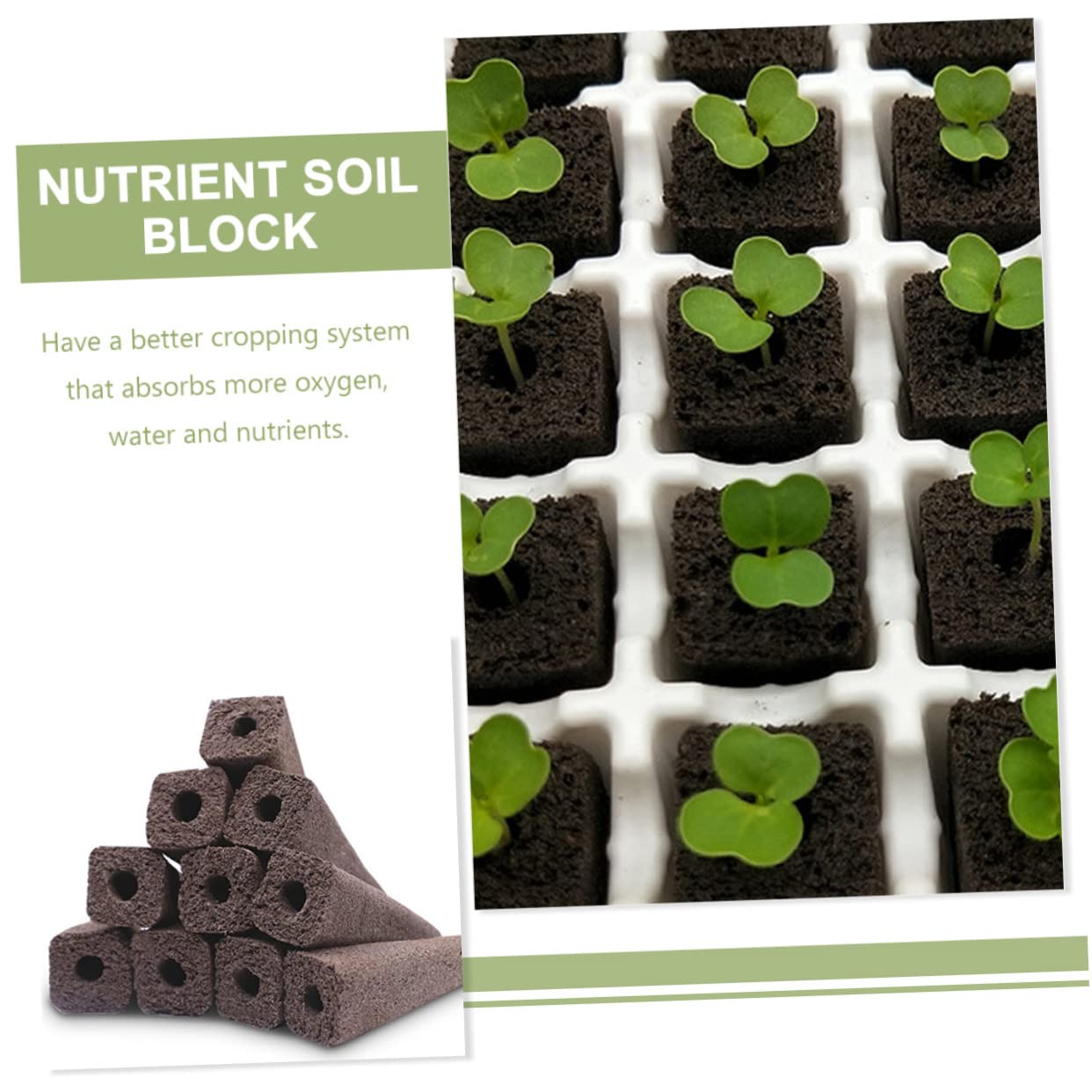 Sosoport 150pièces Bloc De Nutriments De Culture Soilless pour Accessoire De Jardinage Hydroponique