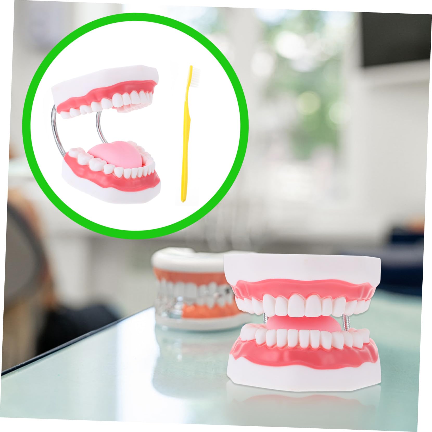 Modello dei Denti 6x Bianco in Pvc con Spazzolino Didattico | Gioco Interattivo per Ragazzo Ragazza, Supporto alla Comunicazione Genitore-figlio, 1 Pezzo