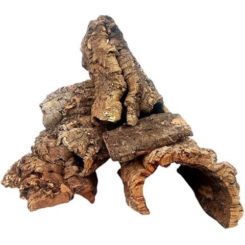 EZ Botanicals Virgin Cork Bark - for Orchids, Airplants, Reptiles, and Terrariums (8 Ounces), brown Cover