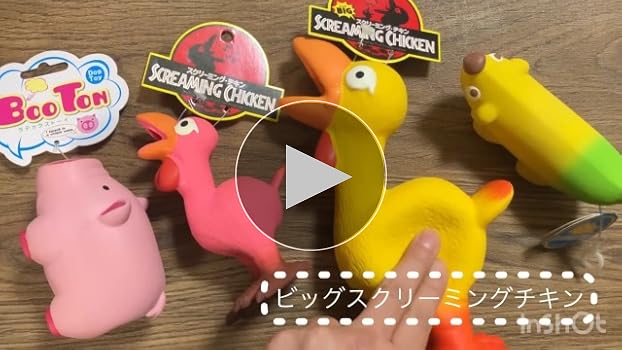 Amazon | PLATZ PET SUPPLIES & FUN ブートン Sサイズ 犬用玩具