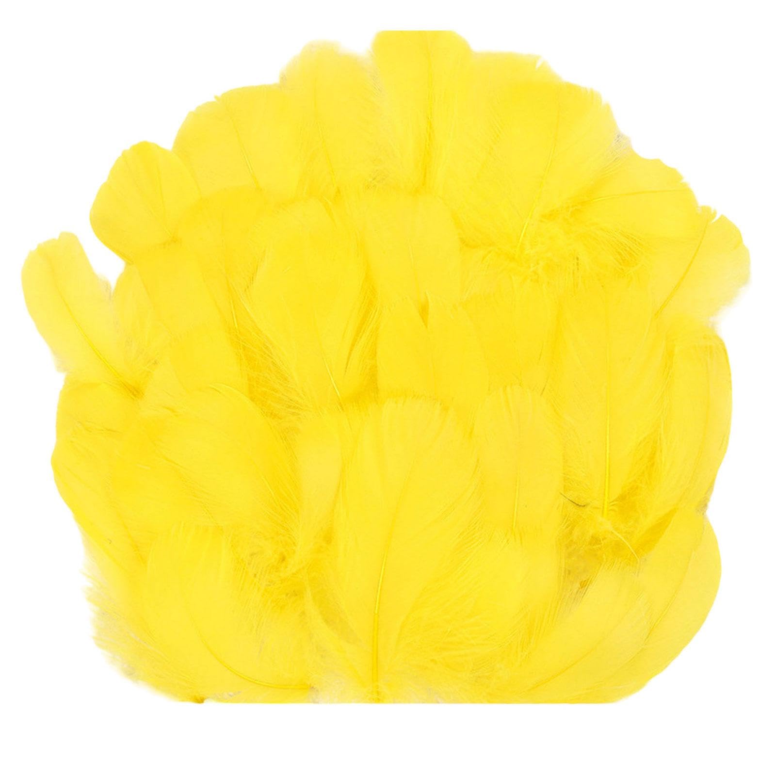 Jazuaiao 100Pcs Colorful Craft Feathered Adornment for Craft Use in Dream Catchers Earrings and Festival Decorations Feathered Decorations