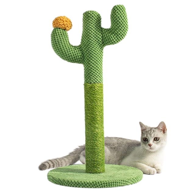 Foto 5 de 8 de Yeeda Rascador de cactus para gatos, juguete de ejercicio para gatos, poste rascador de gatitos