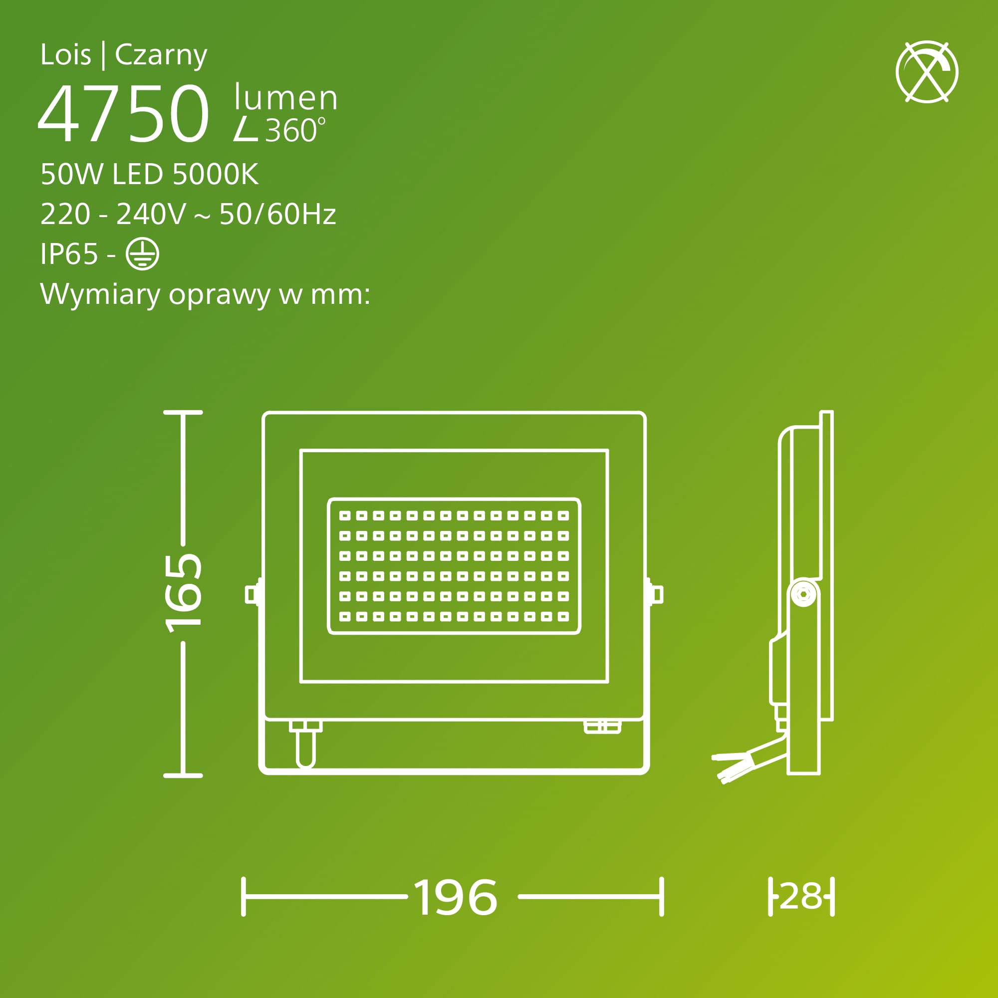 Philips Lois Zewnętrzna Lampa Floodlight, 50 W, 5000 K, Czarna