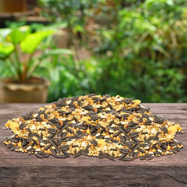 BestNest Wild Bird Seed Mix, Firebird Blend, 25 lbs.