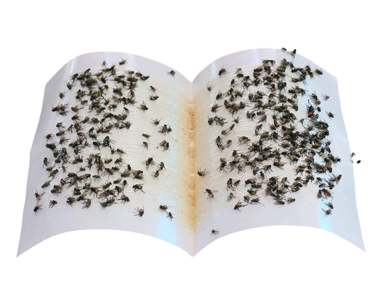 Spicado Traders Fly Trap Sticker Paper/Sticky Traps for Home Flies - Pack of 5-image-33