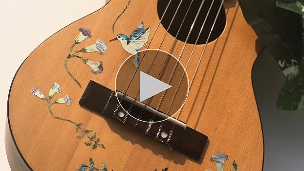 ♣レイレイ♣ Amazon | Jockomo ハミングバード AB SET ギターやベースに