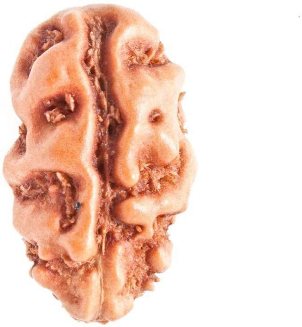 Sharvgun Naturalny oryginalny Rudraksh 1 Mukhi Rudraksha indonezyjska Rudraksha 10 mm-11 mm certyfikat laboratoryjny Rudraksha dla mężczyzn i kobiet luźne koraliki Rudraksha