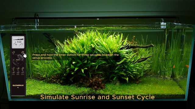 Image of GLOWRIUM LED Aquarium Light with Remote, Full Spectrum Fish Tank Light with Auto Timer, IP67 Waterproof Freshwater Planted Tank Light, Dimmable RGB+W+Moon LEDs with High Performance (18-23inch)