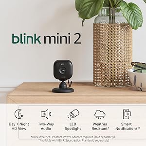 Blink Mini 2 Home Security and Pet Camera