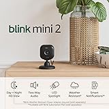 Blink Mini 2 — Home Security & Pet Camera(s) with HD video, color night view, motion detection, two-way audio, and built-in spotlight — 1 camera (Black) Black Camera 1 Camera