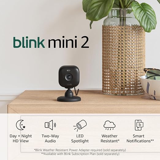 Blink Mini 2 (Newest Model) — Home Security & Pet Camera(s) with HD video, color night view, motion detection, two-way audio, and built-in spotlight — 1 camera (Black)