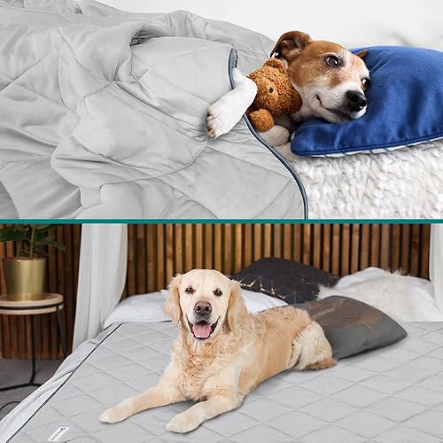 Miniatura 10 de PetAmi Manta refrescante de alta calidad para perros, manta ligera y esponjosa para mascotas, funda de cama para perros, gatos y cachorros, manta