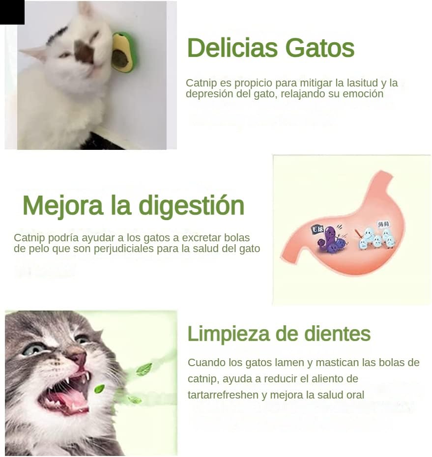 Mejores review On-line Accesorios para gatos Top cinco. 21 Imagen adicional