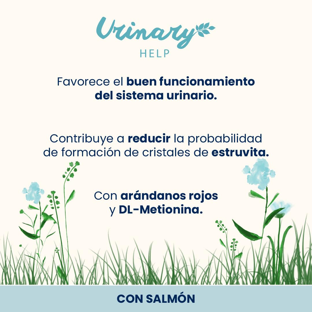 Almo Nature Functional Urinary Help - Comida Húmeda para Gatos Adultos de Salmón - Soporte para el Bienestar del Tracto Urinario - 30 Bolsitas de 70g