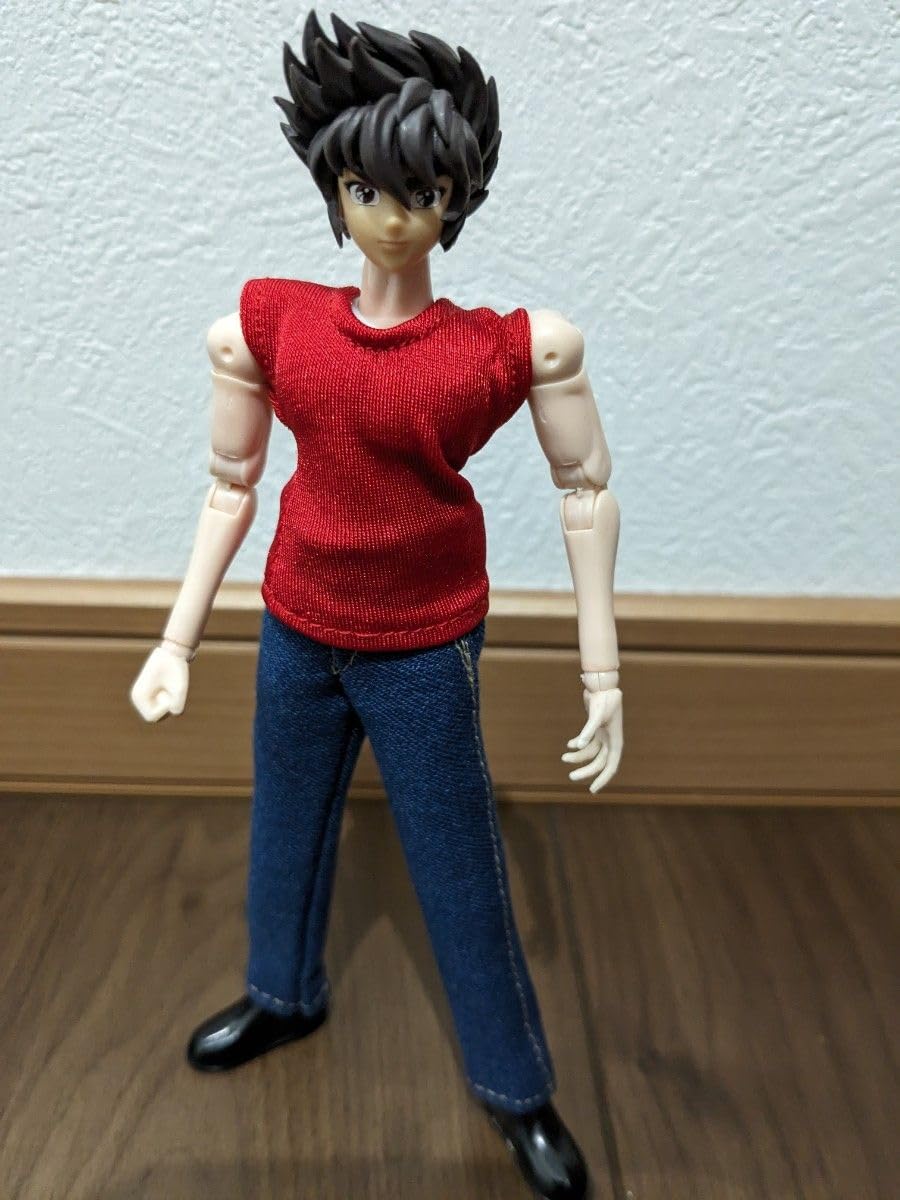 Amazon.co.jp: 聖闘士聖衣神話EX 星矢 紫龍 氷河 瞬 一輝 私服 5