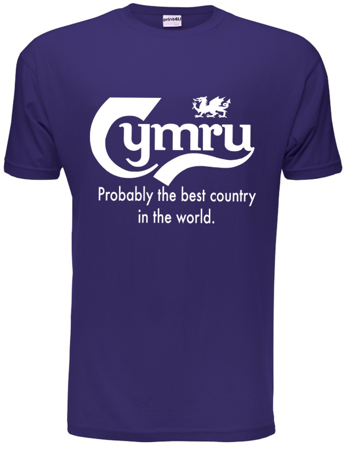 Print4u Men's Purple T-Shirt Wales Cymru Best Country X-Large