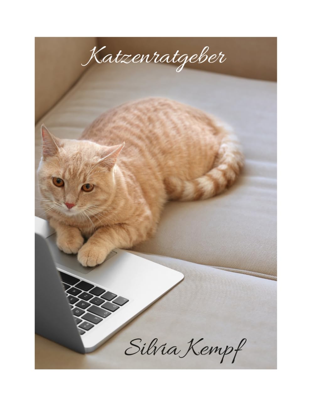 Katzenratgeber: Ein Ratgeber für Katzenfreunde, die sich zum ersten mal eine Katze anschaffen wollen.