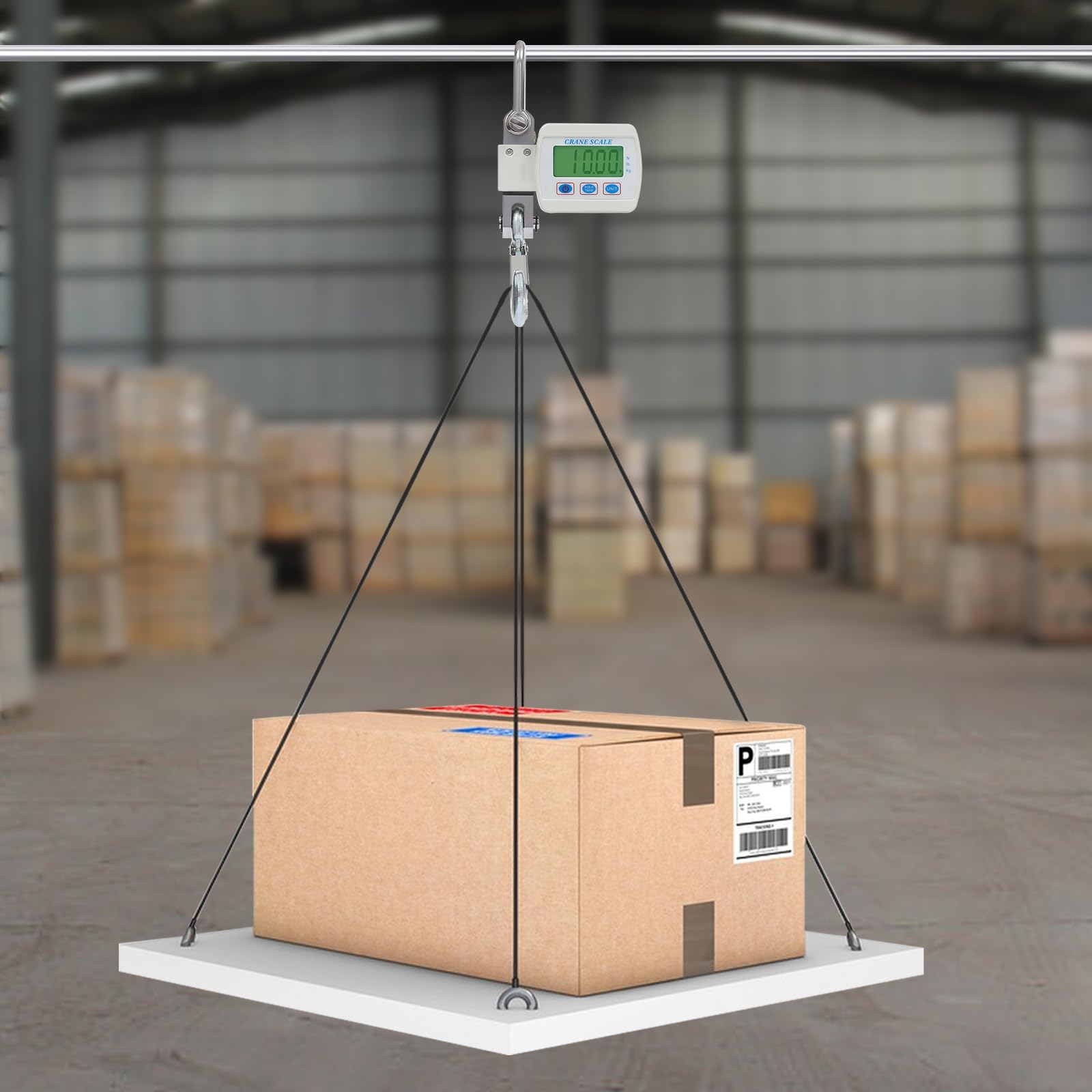 Bilancia sospesa elettronica 500 kg con telecomando gancio professionale ricaricabile