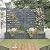 Solid Wood Outdoor Privacy Fence Screen with Planter Box, No-Dig Design with Drainage Holes (Gray, 41" L x 16" W x 72" H)