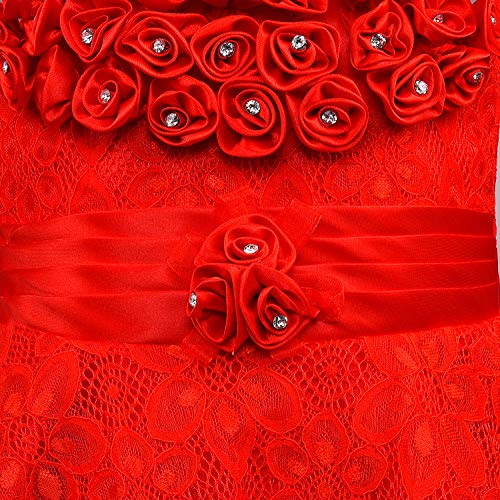 Image of Wish Karo Baby Girls' Knee Length Dress