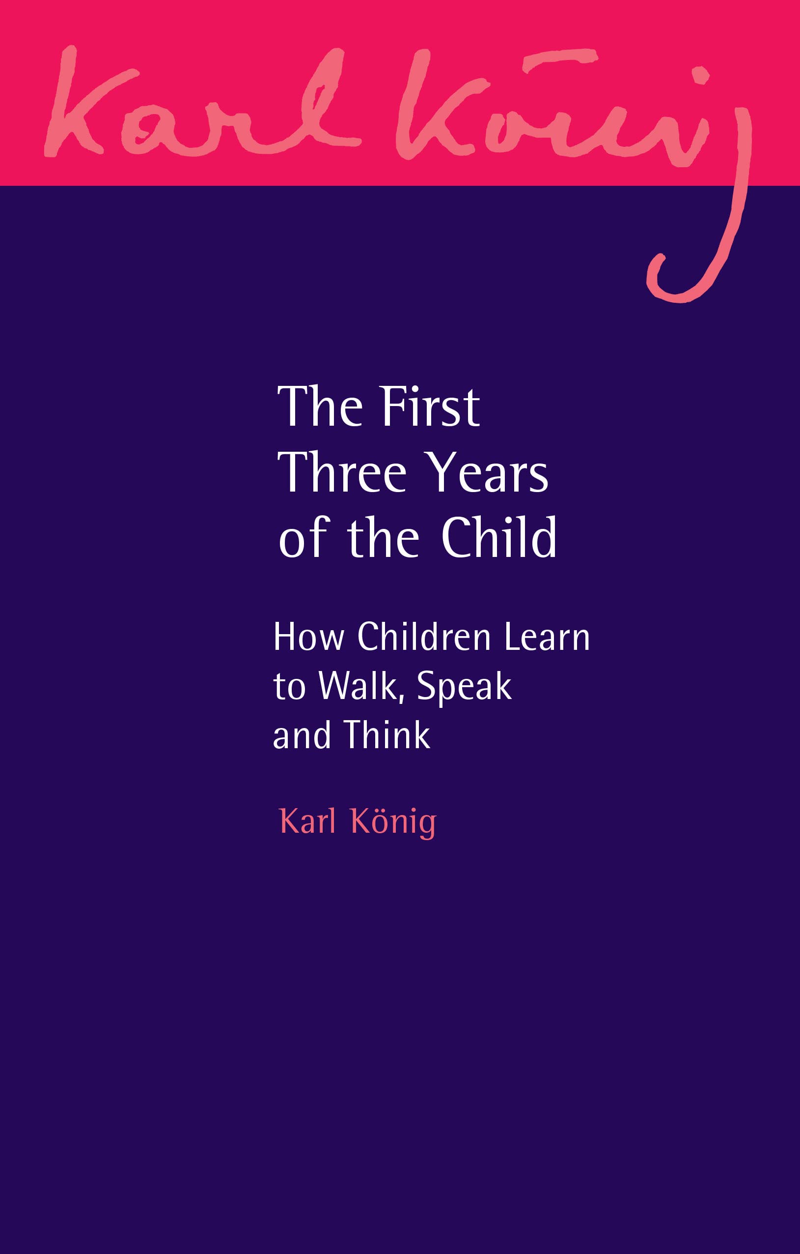 First Three Years of the Child : How Children Learn to Walk, Speak and Think ...