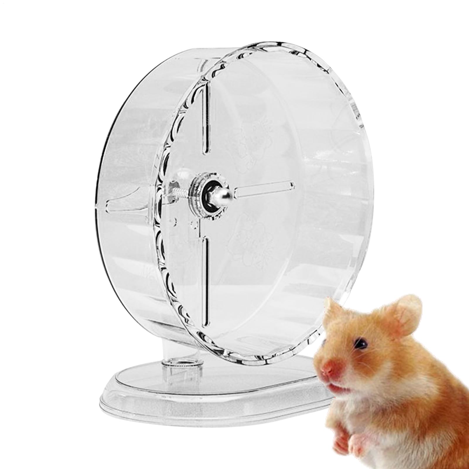 Roue silencieuse pour hamster syrien protégeant le dos de votre animal