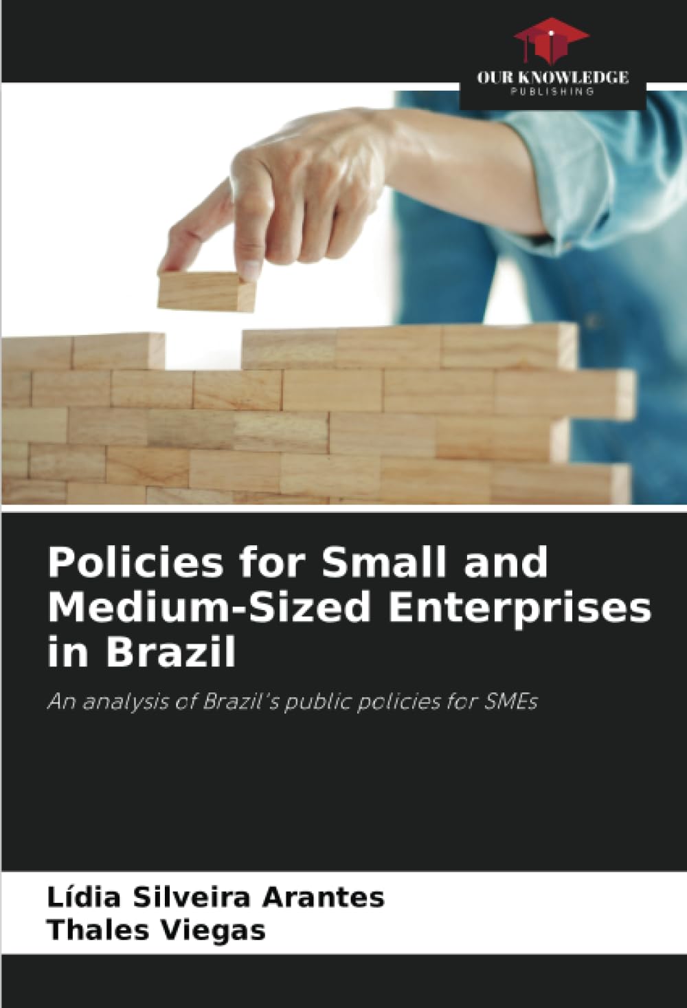 Policies for Small and Medium-Sized Enterprises in Brazil: An analysis of Brazil's public policies for SMEs