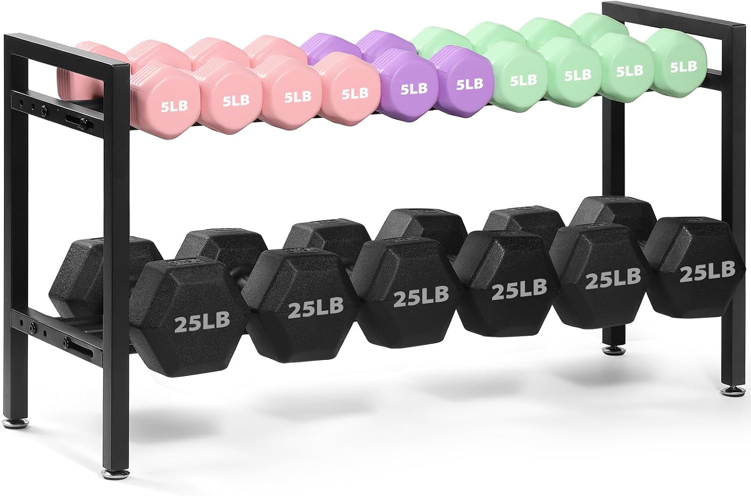 31" Adjustable 2-Tier Dumbbell Rack, Home Gym Weight Storage Rack, 250 lbs Capacity (Rack Only)