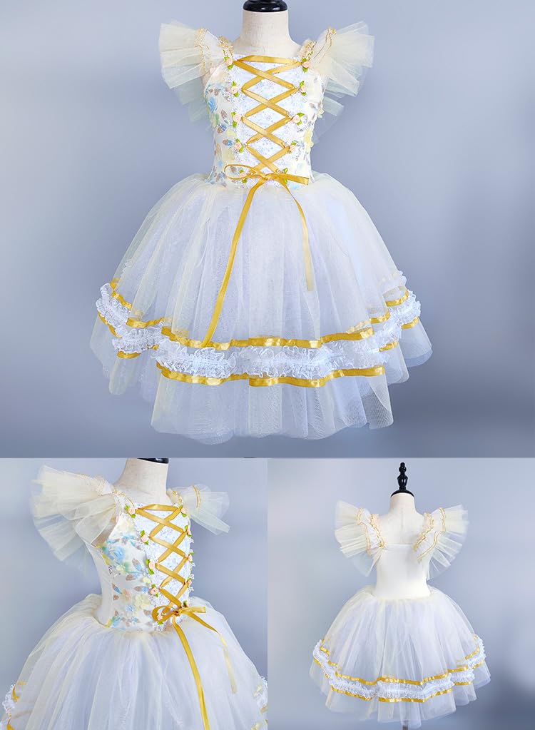 Mädchen Ballettkleid Elegante Blumensticke Tüll Rock, Prinzessin Ballerina Ballettkleidung, Kinder Tanzkleid