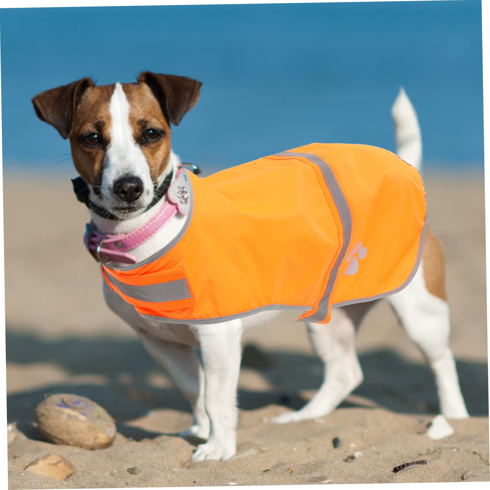 INOOMP 4stücke Reflektierende Hundeweste Aus Oxfordstoff Leuchtende Farbe Sicherheitsweste Für Outdoor-aktivitäten Geeignet Für Hunderassen