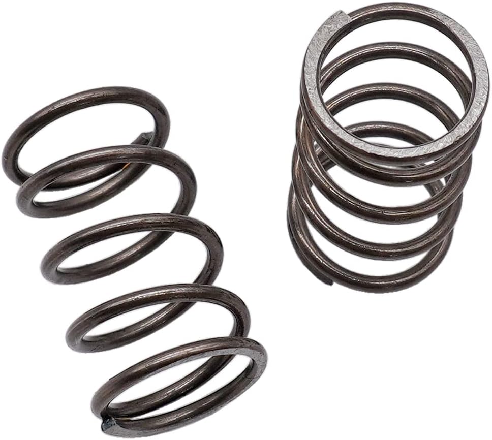 22LBS Valves Springs for Honda GX120/GX200/Clone/Predator 2 PCS