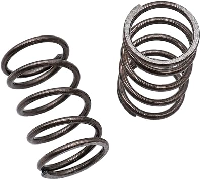 22LBS Valves Springs for Honda GX120/GX200/Clone/Predator 2 PCS